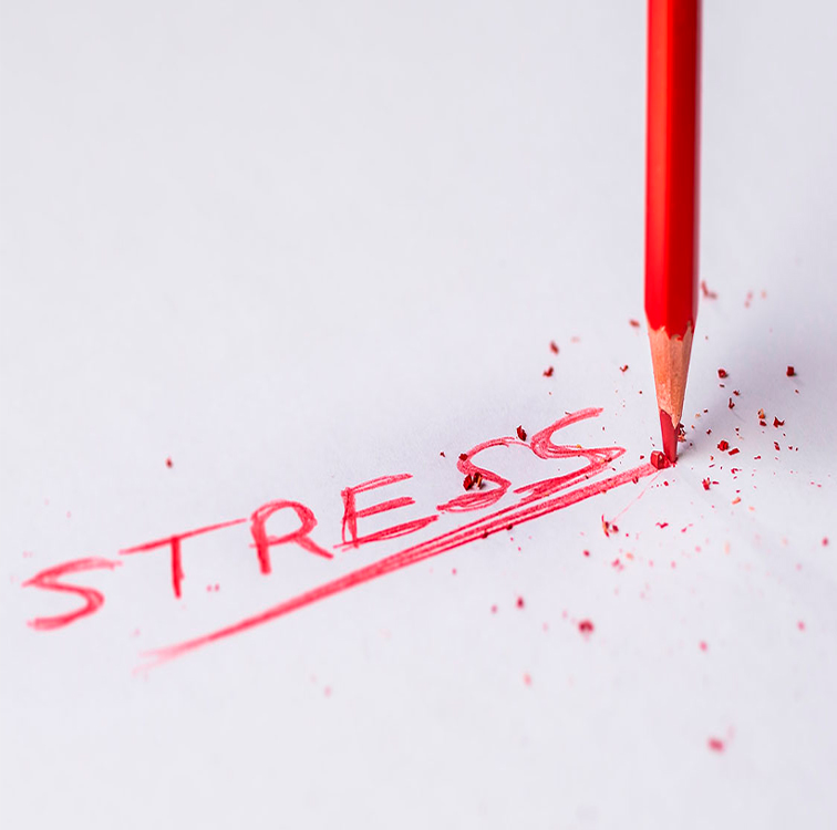 Mau Coaching - at arbejde med stress